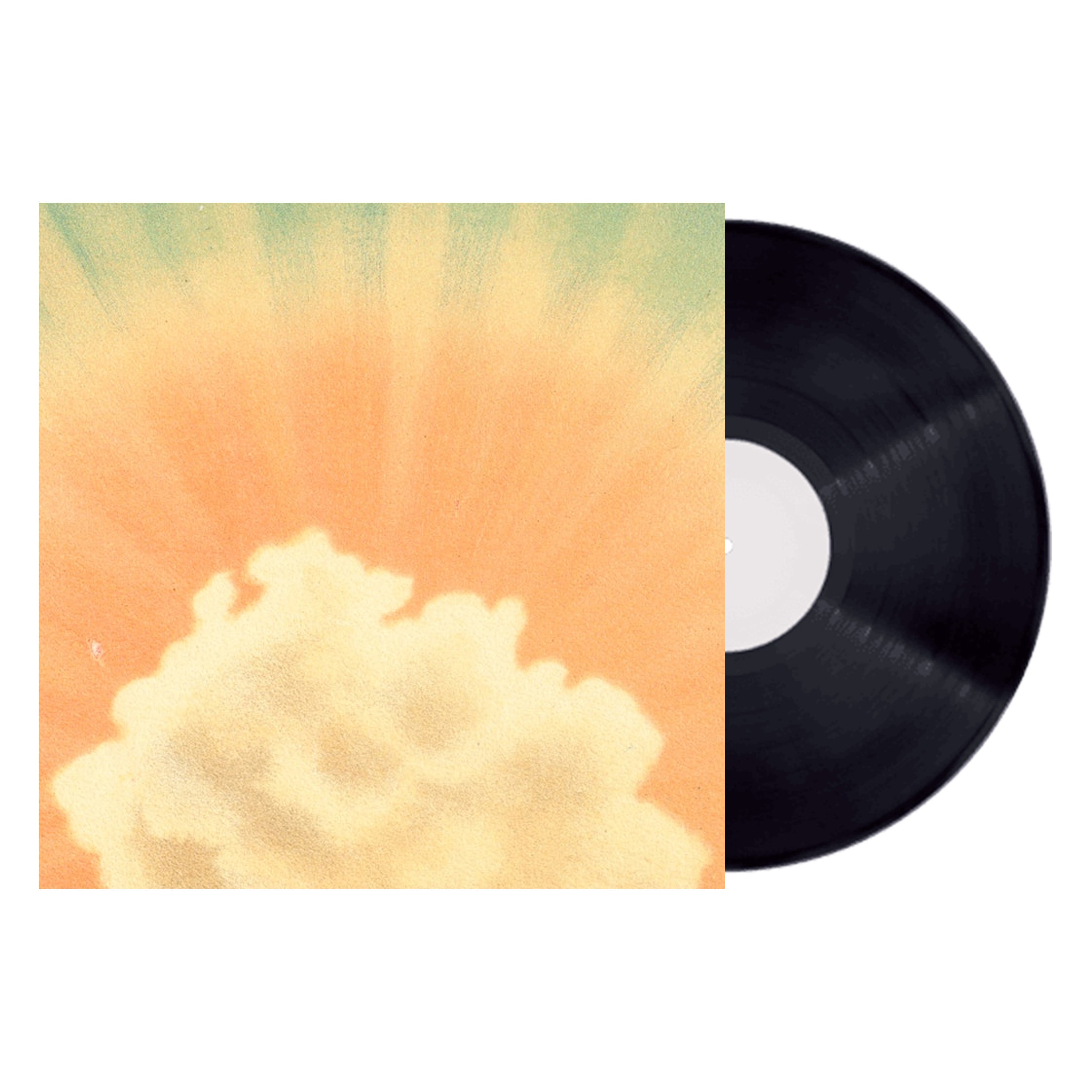 THE VERY REAL FAKE THING VINYL